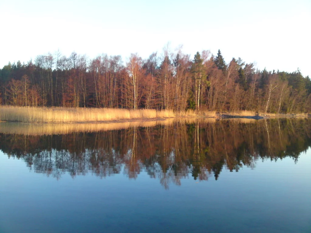 houtskar bilder 4