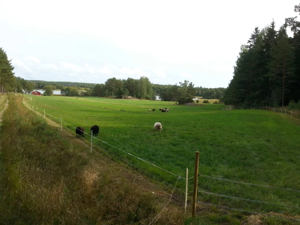 houtskars farfarm