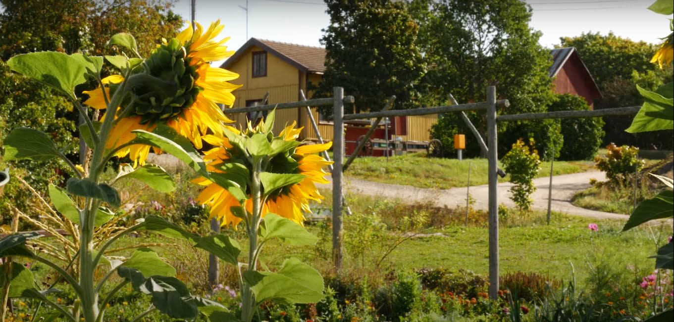 SOLROSOR